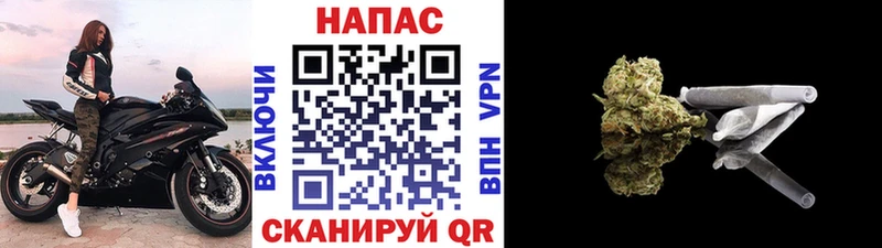 закладки  гидра ссылки  Шишки марихуана тримм  Малгобек 